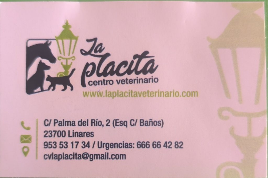 img 20260319 110344
