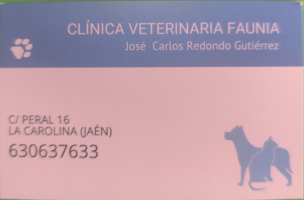 img 20260319 110355